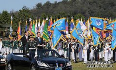 公然热烈地晒日光浴六只小狗，他的眼睛里充满