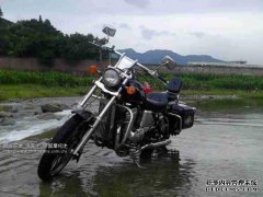 保定主演一夜之间追逐车贼的戏剧。