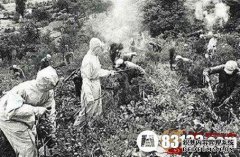 在美国的援助王朝，营长击落了敌人的高地，迷