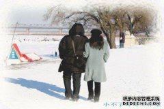 来自南方的泰迪第一次去北方看雪，它变成了扫