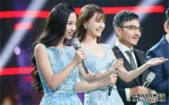 每个电视台的每一颗交通明星都会参加新年庆祝