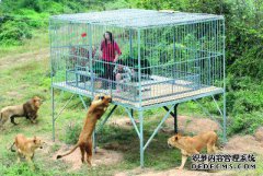 狗被困在一个饥肠辘辘的铁笼子里，体重从50磅到