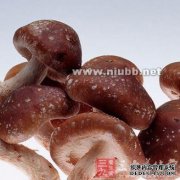 口腔腐烂是什么原因？什么是烂嘴？