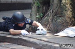 [如果伤害基于]