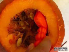 南瓜南瓜