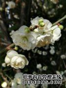 云南省30天天气预报，捷交街30天天气预报，云南